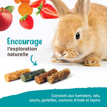 Load image into Gallery viewer, Living World Gâteries Grignotines pour petits animaux - Mélange de saveurs - 75 gr
