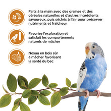 Charger l'image dans la galerie, Living World Gâteries pour perruches - Bâtonnets au miel - Paquet de 2 - 90 gr
