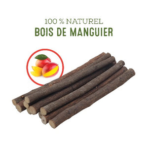 Gâteries à mâcher Living World Green, bâtonnets de manguier, paquet de 10