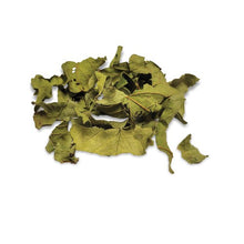 Load image into Gallery viewer, Gâteries de feuilles séchées Botanicals Living World Green - Feuilles de goyavier - 10 gr (0,35 oz)
