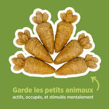 Load image into Gallery viewer, Living World Jouet à mâcher comestible - Carottes - Orange - Paquet de 6 - 78 gr (2,7 oz)
