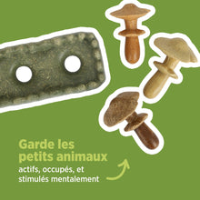 Charger l'image dans la galerie, Living World Jouet à mâcher comestible - Parcelle de champignons - Multicolore - 170 gr (5,9 oz)
