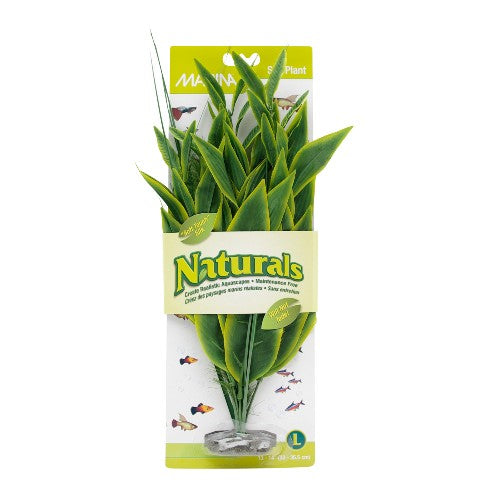 Dracéna Naturals Marina en soie, vert, grand, 33-35,5 cm (13-14 po)