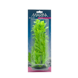 Hygrophila VibraScaper Marina, vert phosphorescent, grande, 30 cm (12 po)