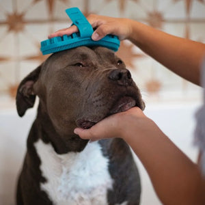 Messy Mutts Brosse de toilettage à double face en silicone, Bleue