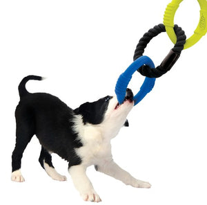 Jeu de trois anneaux à tirer Nerf Dog, 22,9 cm (9 po)