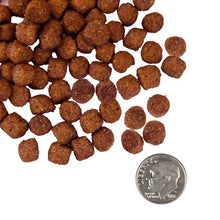 Load image into Gallery viewer, Nourriture Fromm Nutritionals Formule peau sensible et estomac pour chien - Recette saumon et avoine entière
