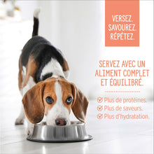 Load image into Gallery viewer, Nutrience garnitures Style maison pour chiens - Saumon et riz rouge - 152 gr
