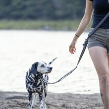 Charger l&#39;image dans la galerie, Nuvuq Laisse multifonctionnelle pour chien, Poivre noir
