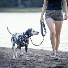 Charger l&#39;image dans la galerie, Nuvuq Laisse multifonctionnelle pour chien, Poivre noir
