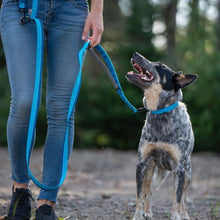 Charger l&#39;image dans la galerie, Nuvuq Laisse multifonctionnelle pour chien, Bleu Bleuet
