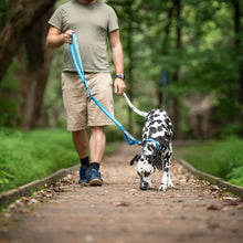 Charger l&#39;image dans la galerie, Nuvuq Laisse multifonctionnelle pour chien, Bleu Bleuet
