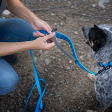 Charger l&#39;image dans la galerie, Nuvuq Laisse multifonctionnelle pour chien, Bleu Bleuet
