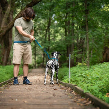 Charger l&#39;image dans la galerie, Nuvuq Laisse multifonctionnelle pour chien, Bleu Bleuet

