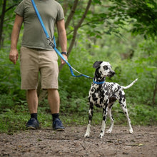 Charger l&#39;image dans la galerie, Nuvuq Laisse multifonctionnelle pour chien, Bleu Bleuet
