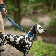 Charger l&#39;image dans la galerie, Nuvuq Laisse multifonctionnelle pour chien, Bleu Bleuet
