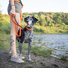 Charger l&#39;image dans la galerie, Nuvuq Laisse multifonctionnelle pour chien, Orange tangerine
