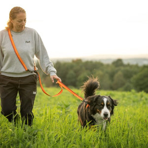 Nuvuq Laisse multifonctionnelle pour chien, Orange tangerine