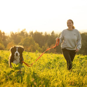 Nuvuq Laisse multifonctionnelle pour chien, Orange tangerine