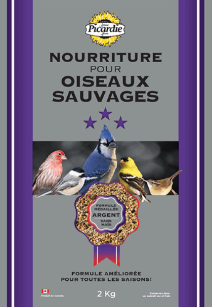 Oiseaux sauvages (Argent)