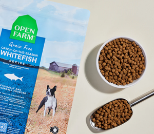 Open Farm nourriture pour chien - Poisson blanc et Légumes sans grain