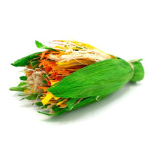 Charger l&#39;image dans la galerie, (DON à la SPAE) Oxbow Enriched Life - Gâterie à mâcher pour rongeur - Bouquet de célébration
