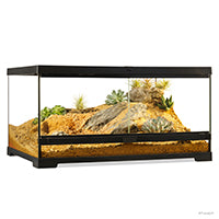 Load image into Gallery viewer, Exo Terra Glass Terrarium, Medium, Low, 24in x 18in x 12in
