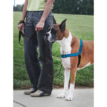Charger l&#39;image dans la galerie, PetSafe Harnais pour chien deluxe &quot;Easy Walk&quot; - Bleu

