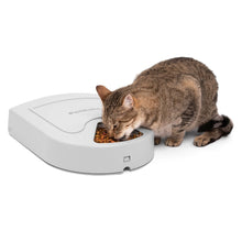 Charger l'image dans la galerie, Petsafe Distributeur automatique pour 5 repas
