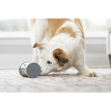 Charger l&#39;image dans la galerie, Petsafe Distributeur de gâteries pour chien &quot;Mobile Kibble Chase&quot;
