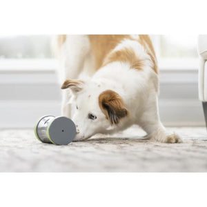 Petsafe Distributeur de gâteries pour chien "Mobile Kibble Chase"