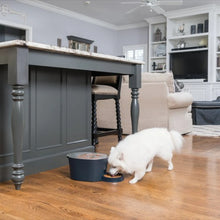 Charger l&#39;image dans la galerie, Petsafe Distributeur six repas
