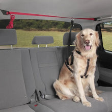 Charger l&#39;image dans la galerie, Petsafe Ligne de sécurité pour voiture Pupzip
