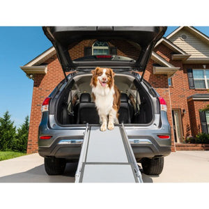 Petsafe Rampe télescopique deluxe Happy Ride