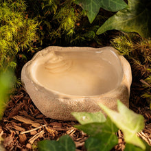 Load image into Gallery viewer, Plat en céramique émaillée au sable Exo Terra pour terrariums
