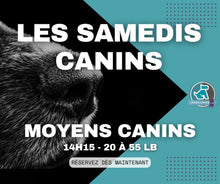 Charger l'image dans la galerie, SAMEDIS CANINS - Rencontres canines au Parc à Chien intérieur LJDA
