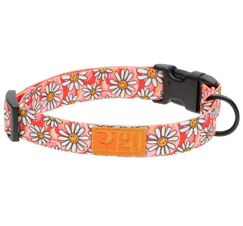 RC Pets Collier Eco - Joie de marguerite