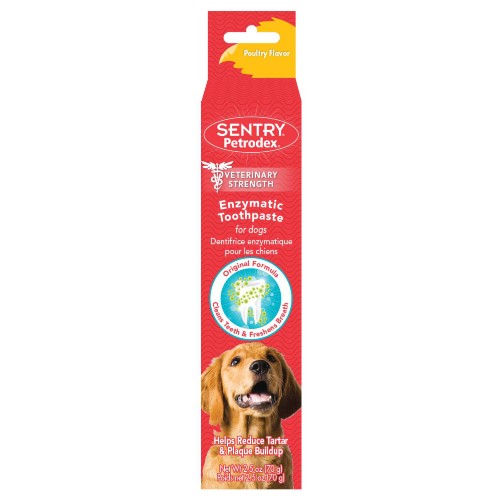 Dentifrice Petrodex Sergeant’s pour chiens, saveur de poulet, 70 g