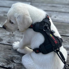 Load image into Gallery viewer, Smellydogz Harnais sans traction "Comfort" pour chien - Noir
