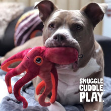 Charger l&#39;image dans la galerie, Snugarooz Jouet pour chien - La pieuvre Olivia
