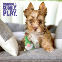 Charger l&#39;image dans la galerie, Snugarooz Jouet pour chien - Le bébé gnôme Meadow
