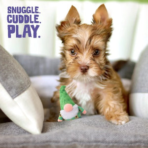 Snugarooz Jouet pour chien - Le bébé gnôme Meadow