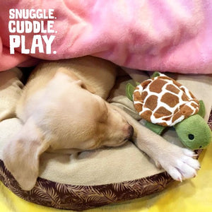Snugarooz Jouet pour chien - Le bébé tortue Shelldon