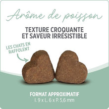 Charger l&#39;image dans la galerie, Suppléments Nutrience Care pour chats - Boules de poils+ 180 g
