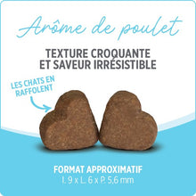 Charger l&#39;image dans la galerie, Suppléments Nutrience Care pour chats - Calmant 180 g
