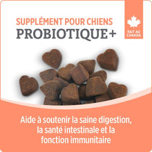 Charger l&#39;image dans la galerie, Suppléments Nutrience Care pour chiens - Probiotique+ - 100 bouchées tendres 400 gr
