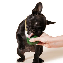 Load image into Gallery viewer, Woof Pet Moule à gâteries Pupsicle - Jaune
