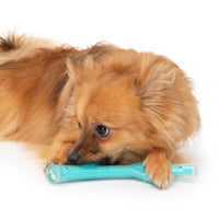 Charger l&#39;image dans la galerie, Bâton Duo Zeus, parfum de poulet, turquoise, petit, 23 cm (9 po)

