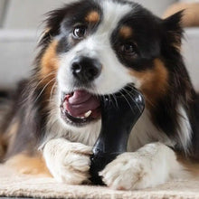 Charger l&#39;image dans la galerie, Zeus jouet Chewchasers en caoutchouc pour gâterie - Arachide - Noir
