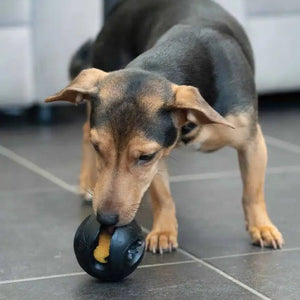 Zeus jouet Chewchasers en caoutchouc pour gâterie - Balle - Noir